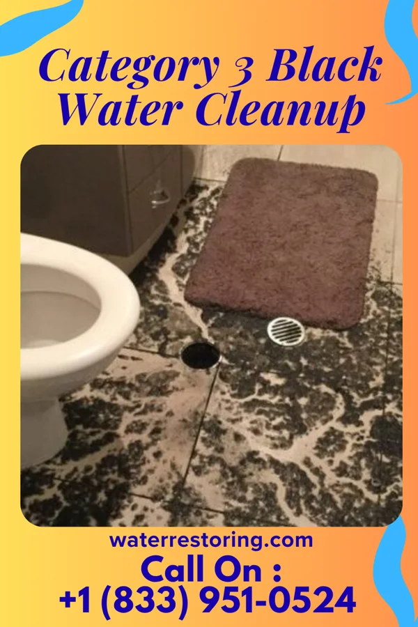 Category 3 Black Water Cleanup in Tyro, NC