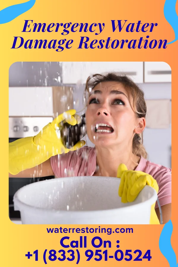 Emergency Water Damage Restoration in Tyro, NC
